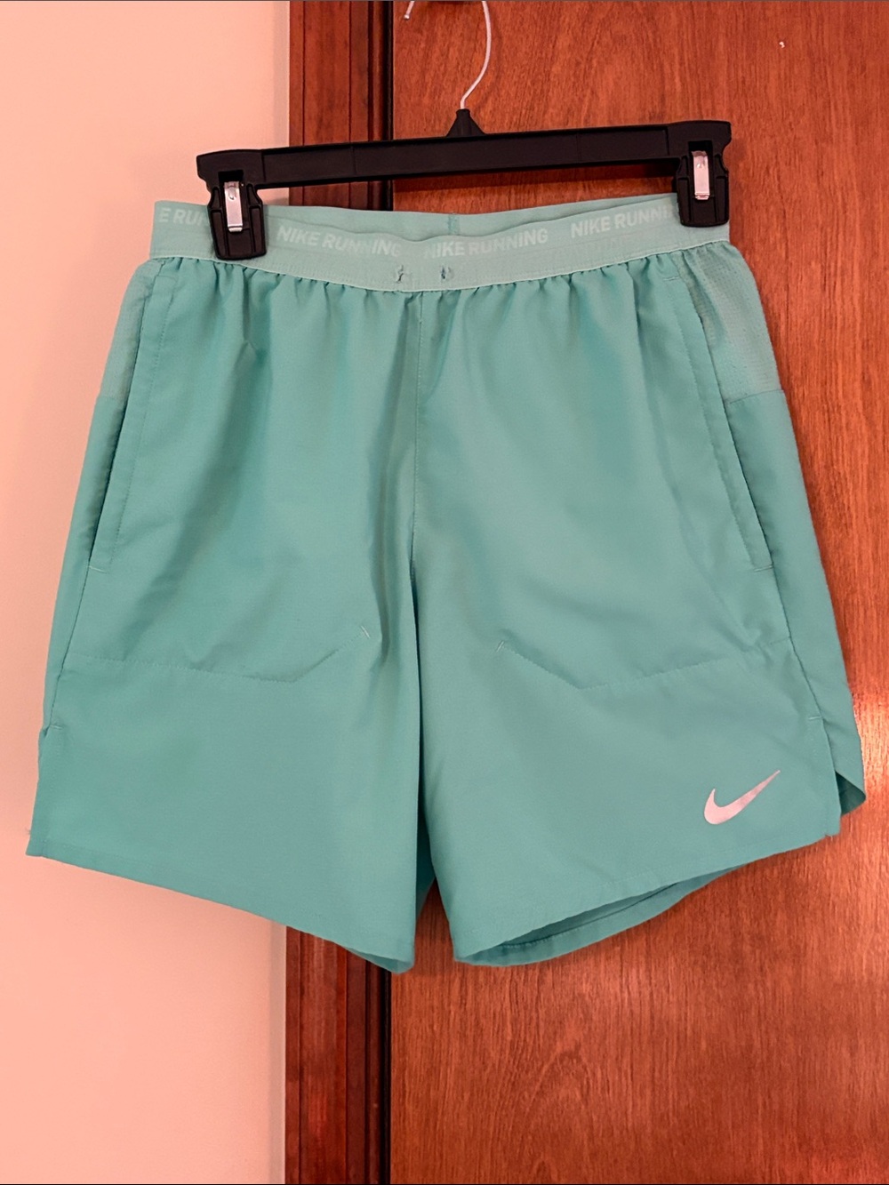 Nike Men’s Mint Green Athletic Shorts